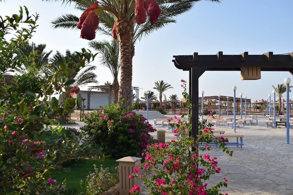 Comfortable Studio In Hotel Karma With Private Beach And Pools Family Only Or Female フルガダ エクステリア 写真